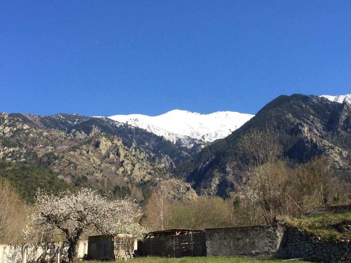 Sarl L'alzina *